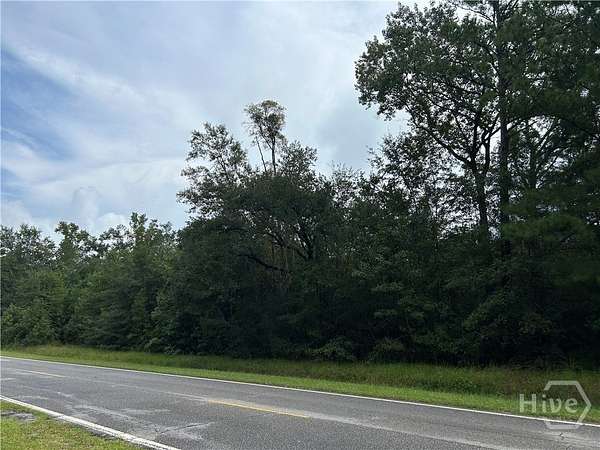 5 Acres of Residential Land for Sale in Riceboro, Georgia