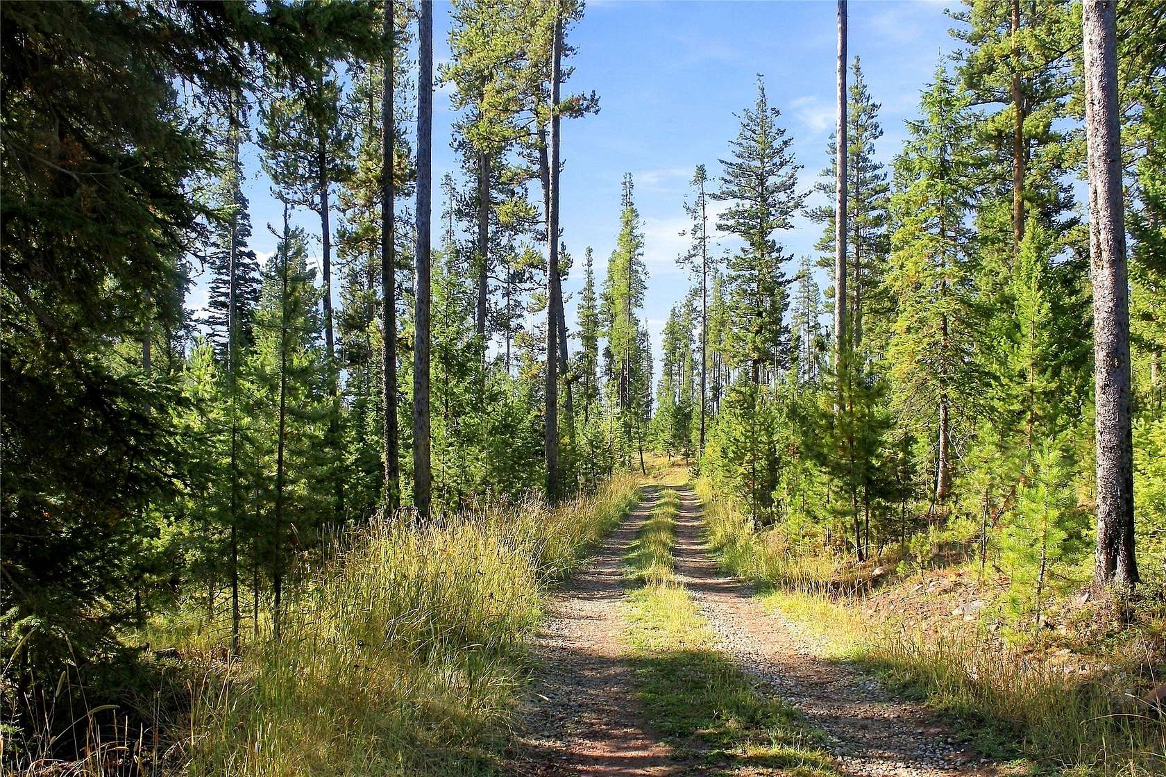20 Acres of Recreational & Residential Land for Sale in Philipsburg, Montana