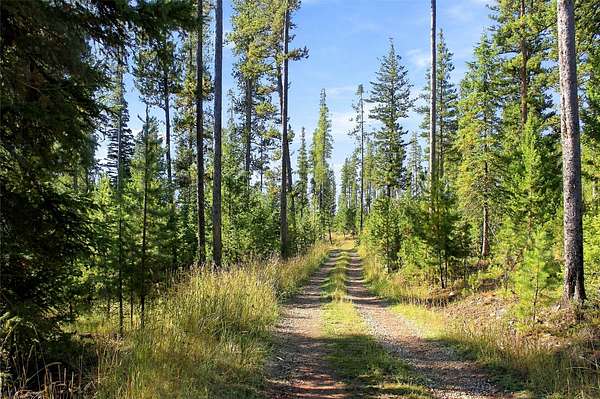 20 Acres of Recreational & Residential Land for Sale in Philipsburg, Montana