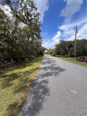 4.88 Acres of Residential Land for Sale in Homosassa, Florida