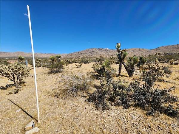 20 Acres of Recreational & Residential Land for Sale in Apple Valley, California