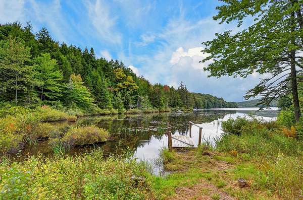 12.3 Acres of Land with Home for Sale in Wilmington, Vermont
