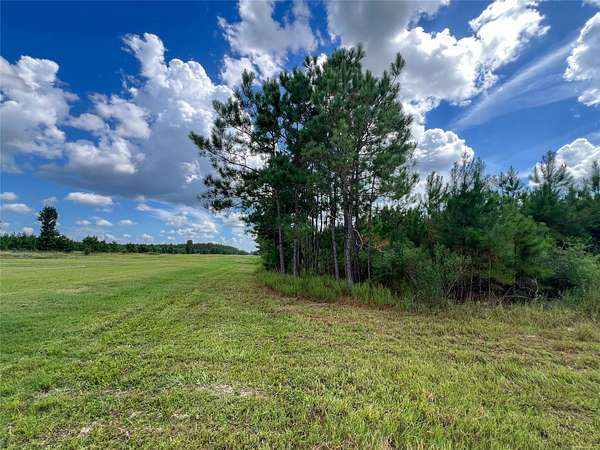 165 Acres of Recreational Land for Sale in Groveton, Texas
