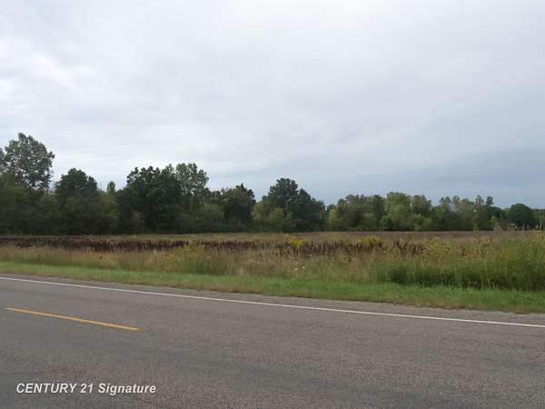66 Acres of Land for Sale in Flushing, Michigan
