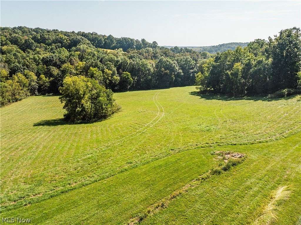 20 Acres of Improved Land for Auction in Coshocton, Ohio
