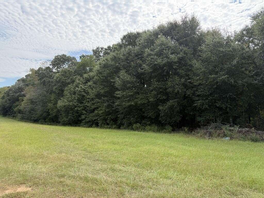 6 Acres of Land for Sale in Headland, Alabama
