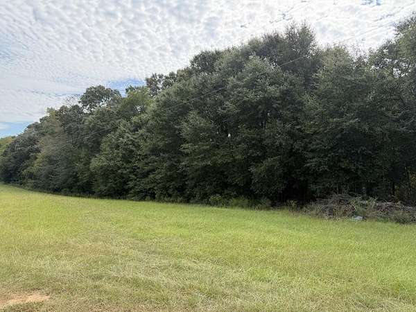 6 Acres of Land for Sale in Headland, Alabama