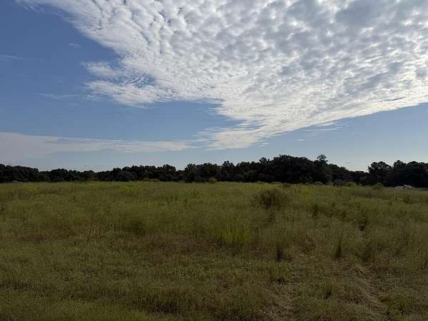 11 Acres of Land for Sale in Headland, Alabama