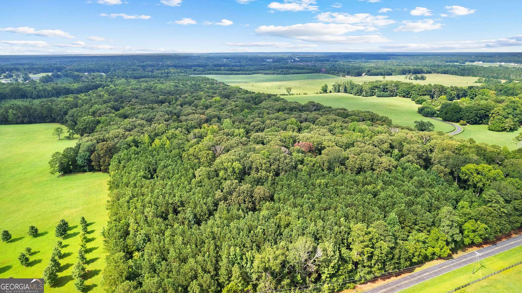 5.34 Acres of Residential Land for Sale in Sharpsburg, Georgia
