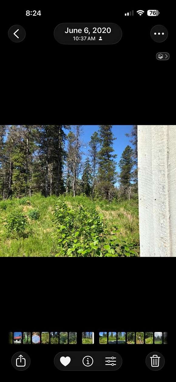 1.22 Acres of Mixed-Use Land for Sale in Gustavus, Alaska