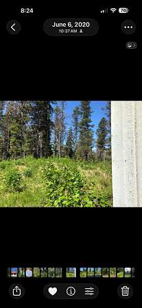 1.22 Acres of Mixed-Use Land for Sale in Gustavus, Alaska