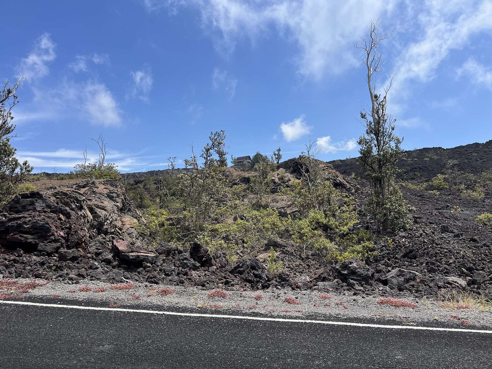 1 Acre of Residential Land for Sale in Hawaiian Ocean View, Hawaii