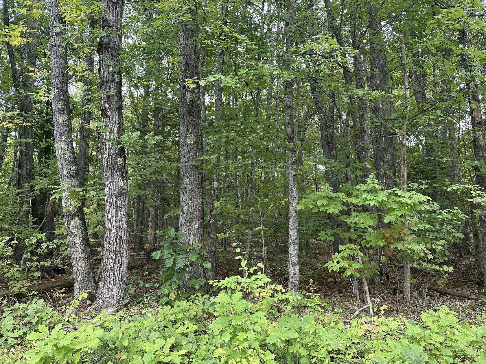 1.2 Acres of Residential Land for Sale in Hope, Maine