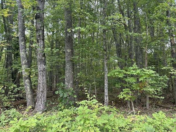 1.2 Acres of Residential Land for Sale in Hope, Maine
