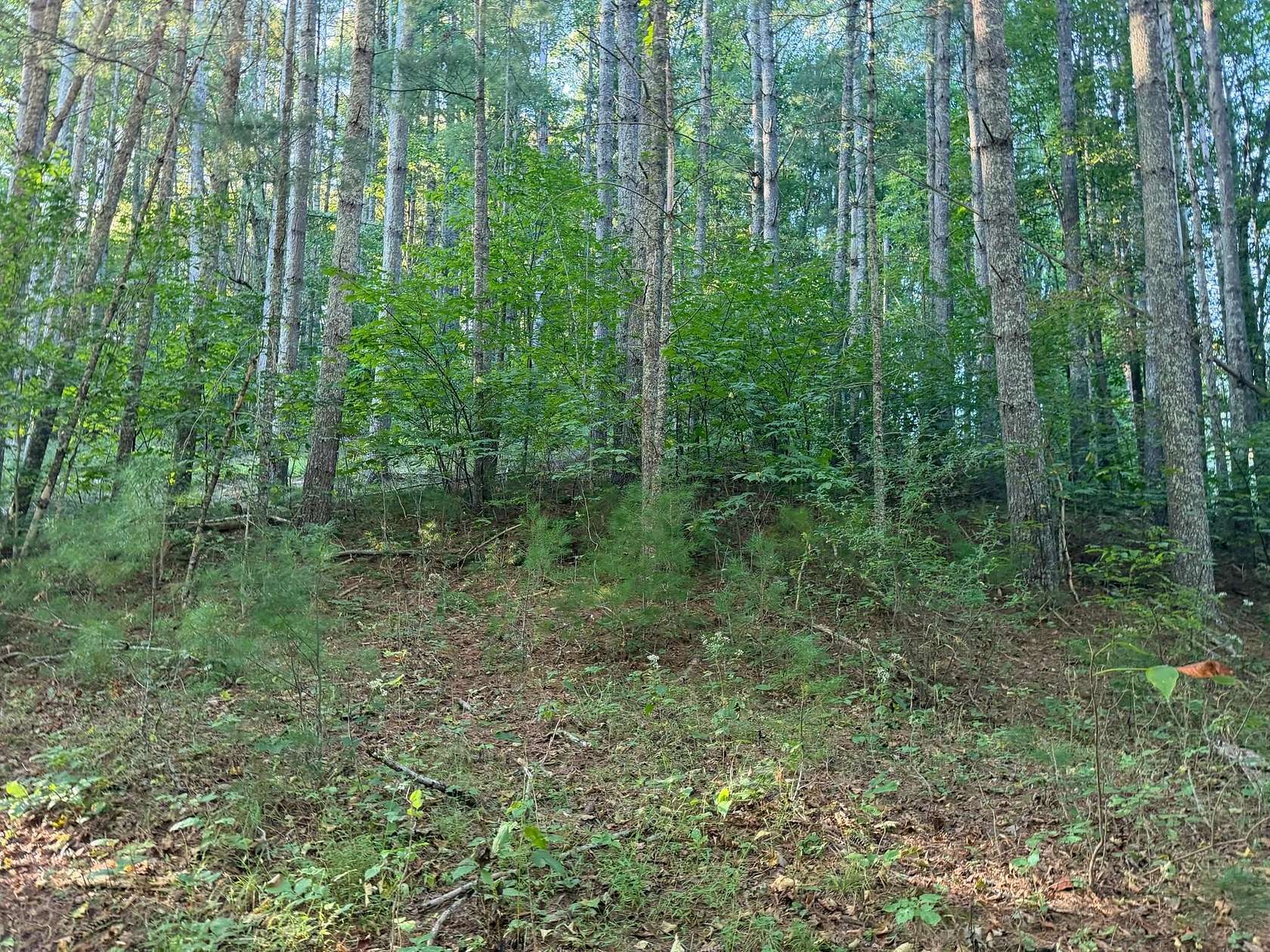 100 Acres of Recreational & Residential Land for Sale in Crawley, West Virginia