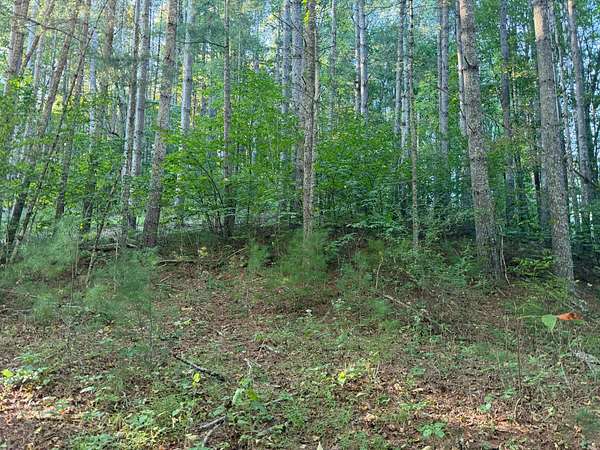 100 Acres of Recreational & Residential Land for Sale in Crawley, West Virginia