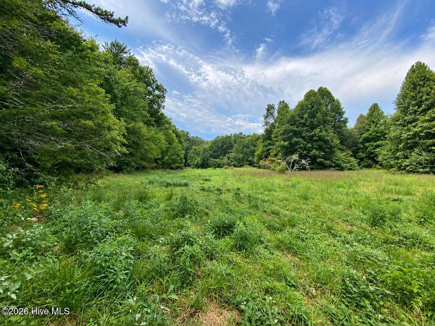 3.3 Acres of Residential Land for Sale in Murphy, North Carolina