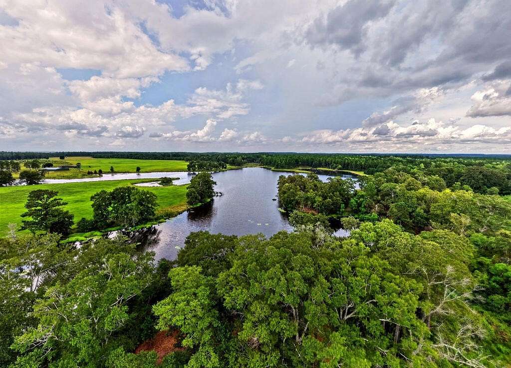 267 Acres of Land for Sale in Lumberton, Mississippi