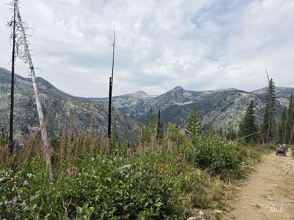 1.83 Acres of Land for Auction in Dixie, Idaho