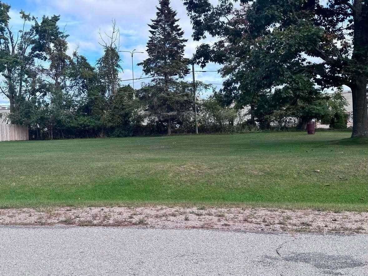 Residential Land for Sale in Alpena, Michigan
