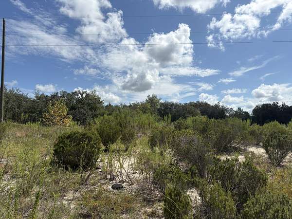 0.29 Acres of Residential Land for Sale in Bronson, Florida