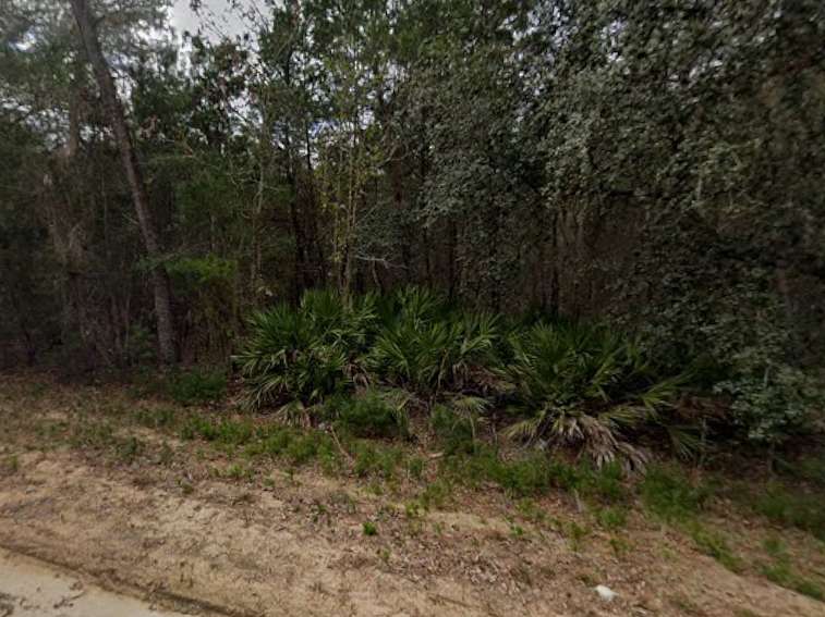 0.43 Acres of Residential Land for Sale in Interlachen, Florida