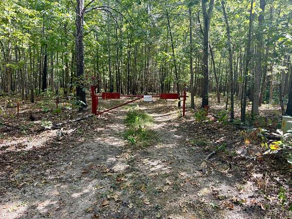 20 Acres of Recreational Land for Sale in Fremont, Missouri