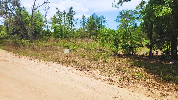 0.24 Acres of Residential Land for Sale in Interlachen, Florida