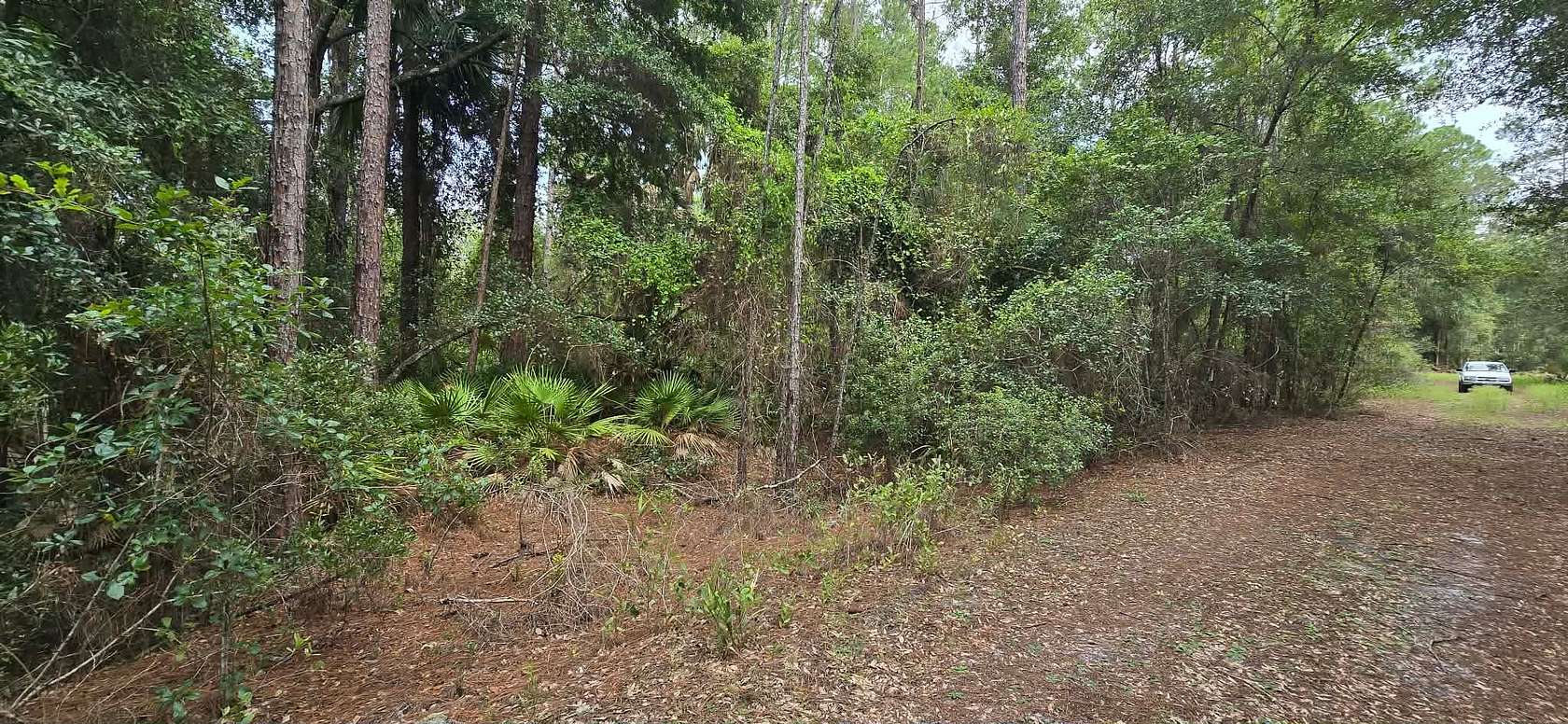 0.23 Acres of Residential Land for Sale in Georgetown, Florida