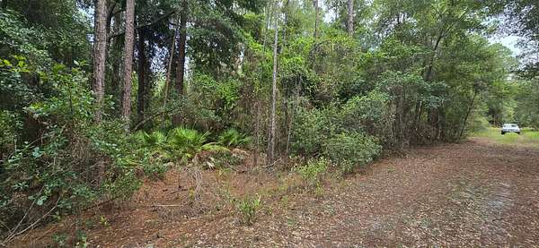 0.23 Acres of Residential Land for Sale in Georgetown, Florida