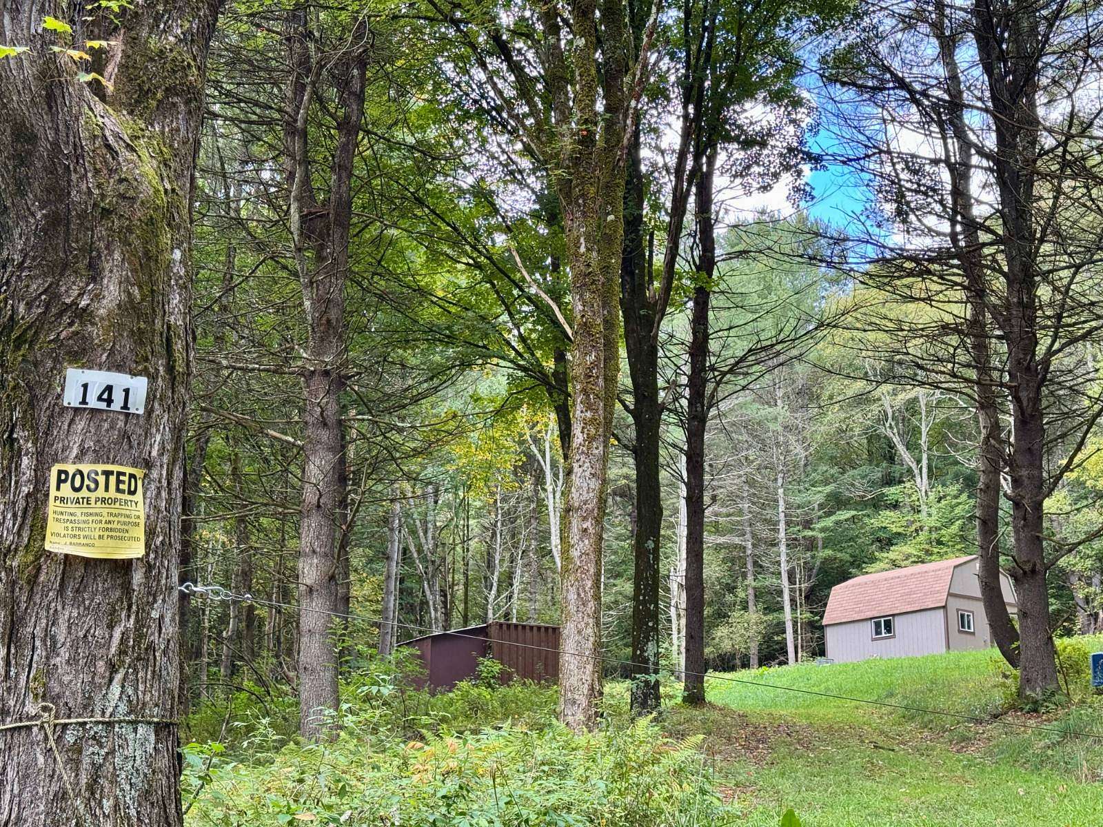 13.6 Acres of Recreational & Residential Land for Sale in Franklin, New York