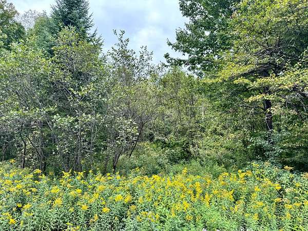 5.24 Acres of Land for Sale in West Turin Town, New York