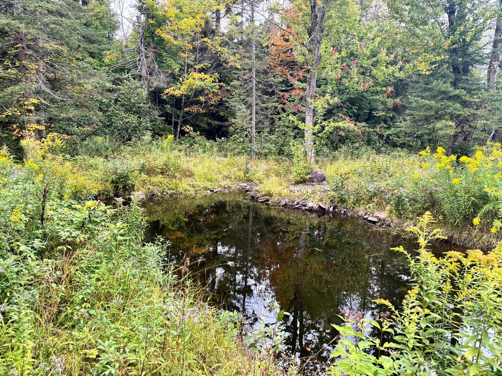 50.7 Acres of Recreational Land for Sale in West Turin Town, New York