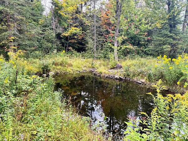 50.7 Acres of Recreational Land for Sale in West Turin Town, New York