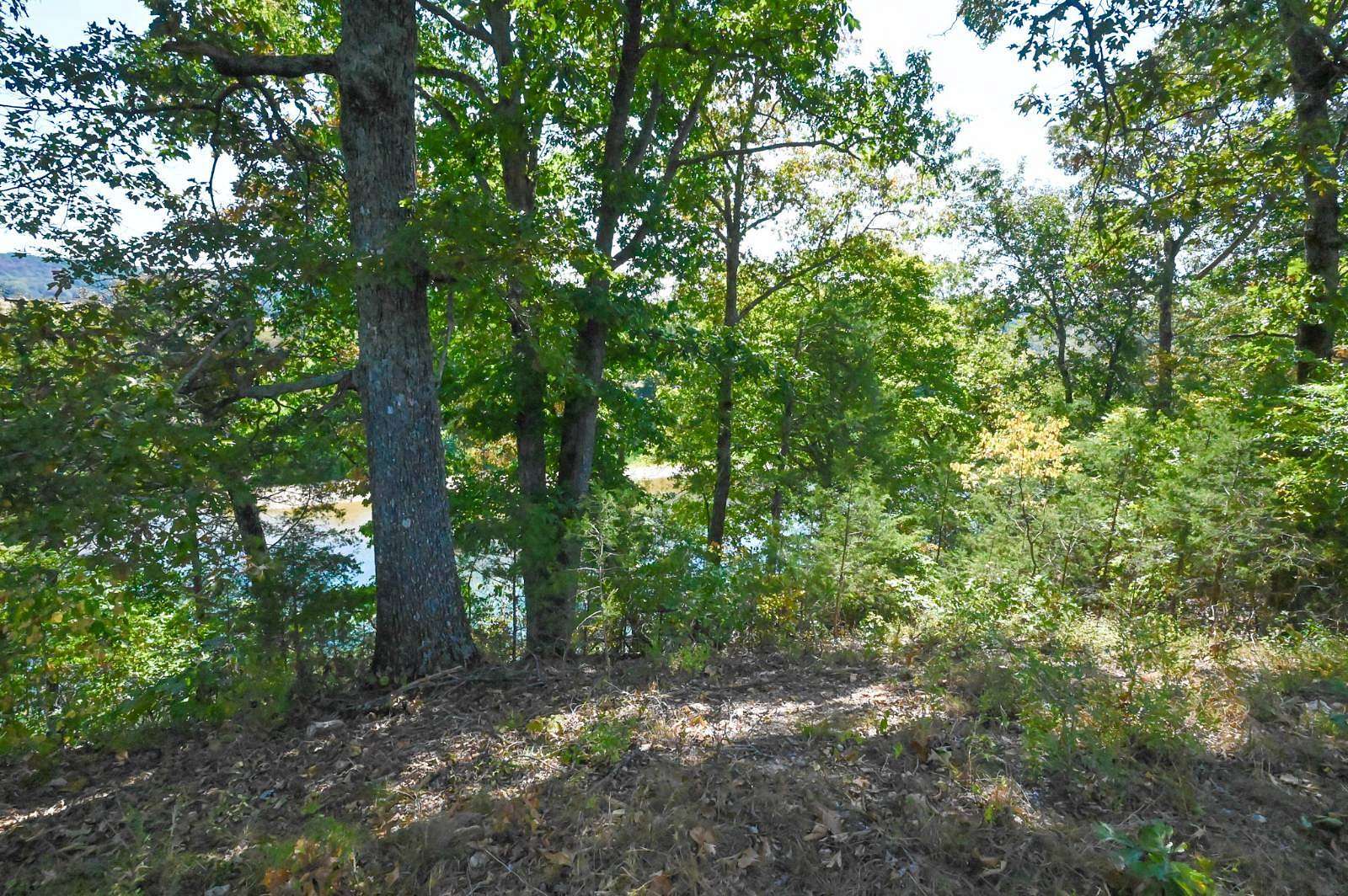 4 Acres of Residential Land for Sale in Tecumseh, Missouri