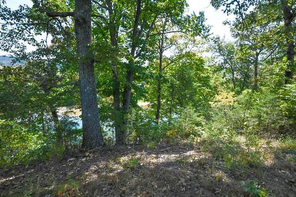 4 Acres of Residential Land for Sale in Tecumseh, Missouri
