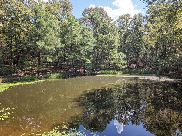 52 Acres of Recreational & Residential Land for Sale in Big Sandy, Tennessee