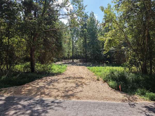 20 Acres of Recreational & Residential Land for Sale in Big Sandy, Tennessee