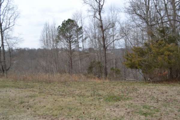 1 Acre of Residential Land for Sale in Baxter, Tennessee