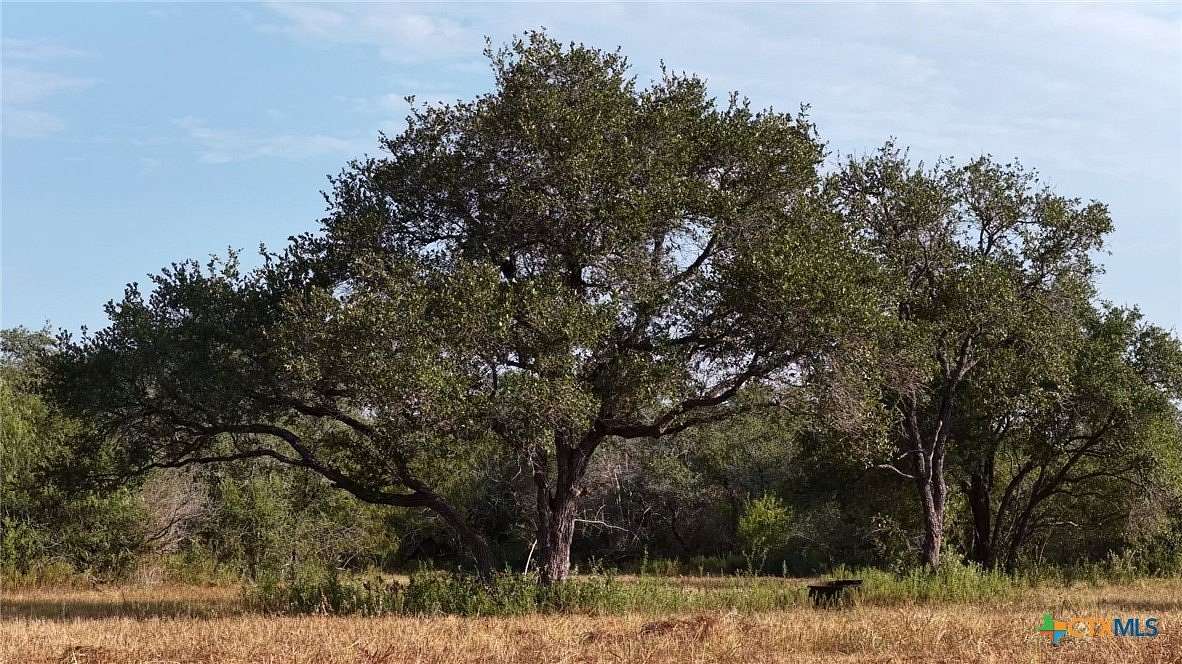 106 Acres of Land for Sale in Refugio, Texas