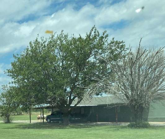 3.9 Acres of Land with Home for Lease in Hawley, Texas