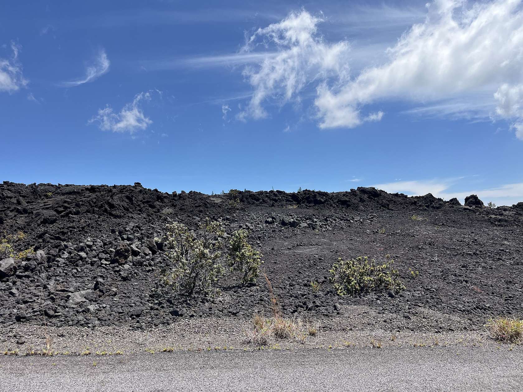 1 Acre of Residential Land for Sale in Hawaiian Ocean View, Hawaii
