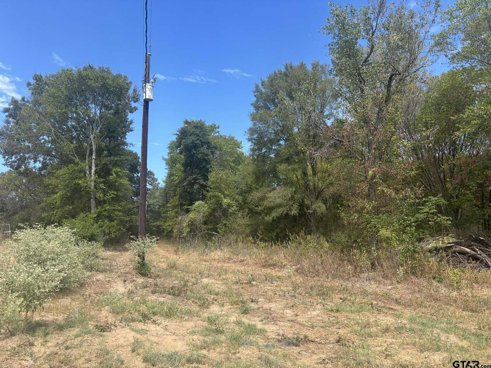 10 Acres of Land for Sale in Pittsburg, Texas