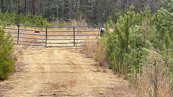 16.1 Acres of Land for Sale in Prattsville, Arkansas
