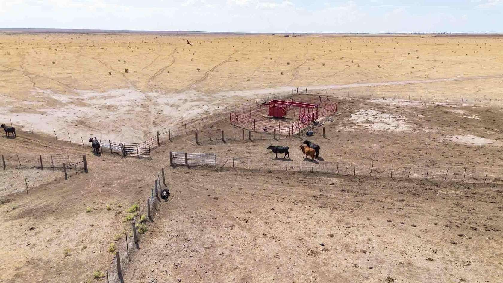 639 Acres of Agricultural & Residential Land for Auction in Canyon, Texas