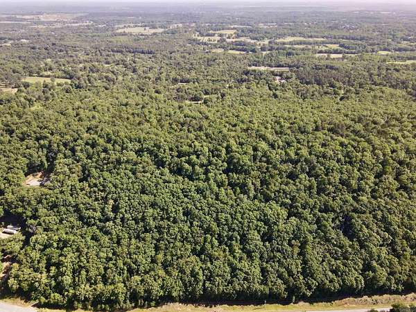 45 Acres of Recreational & Residential Land for Sale in Greenbrier, Arkansas