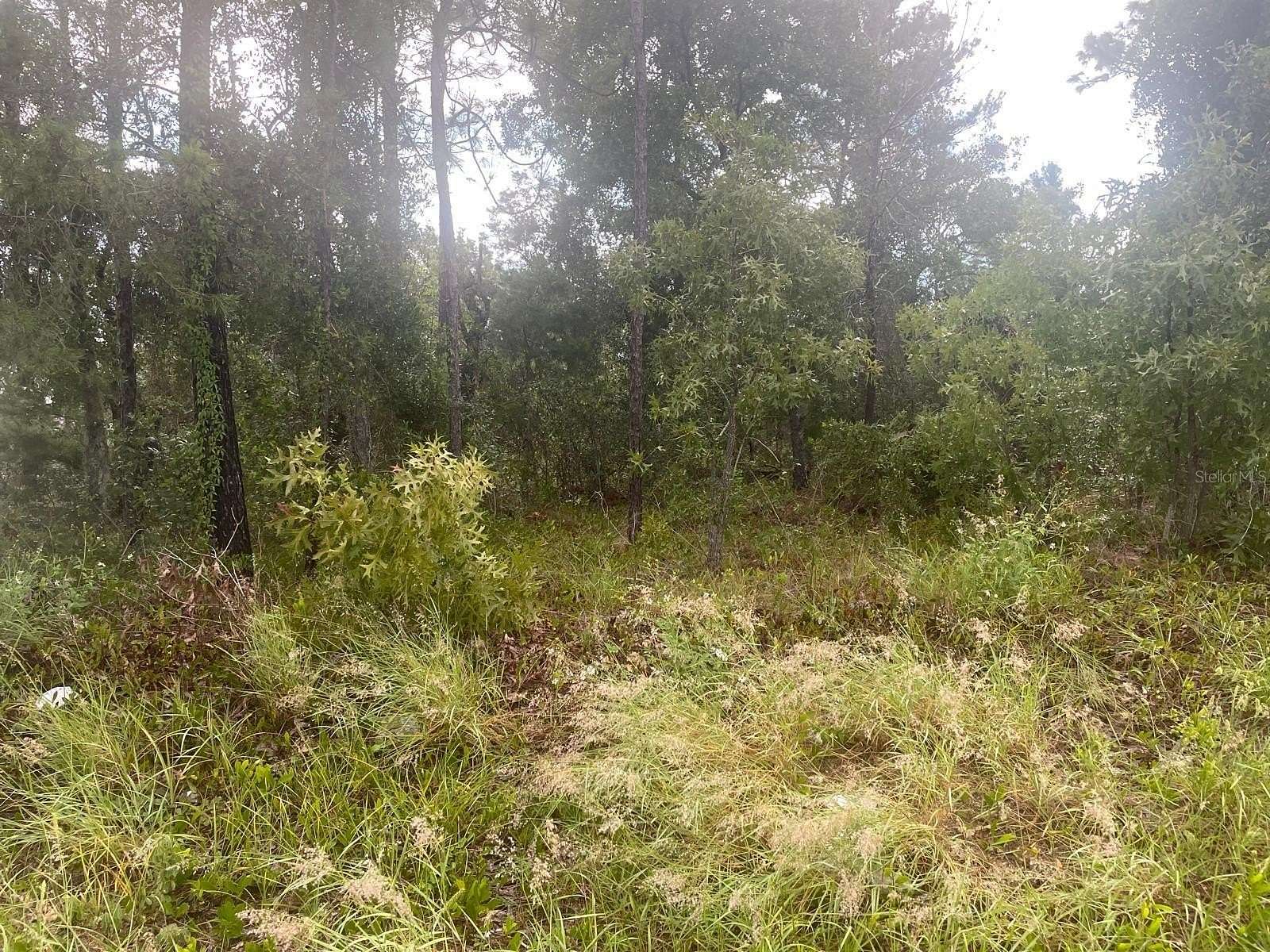 0.46 Acres of Commercial Land for Sale in Spring Hill, Florida