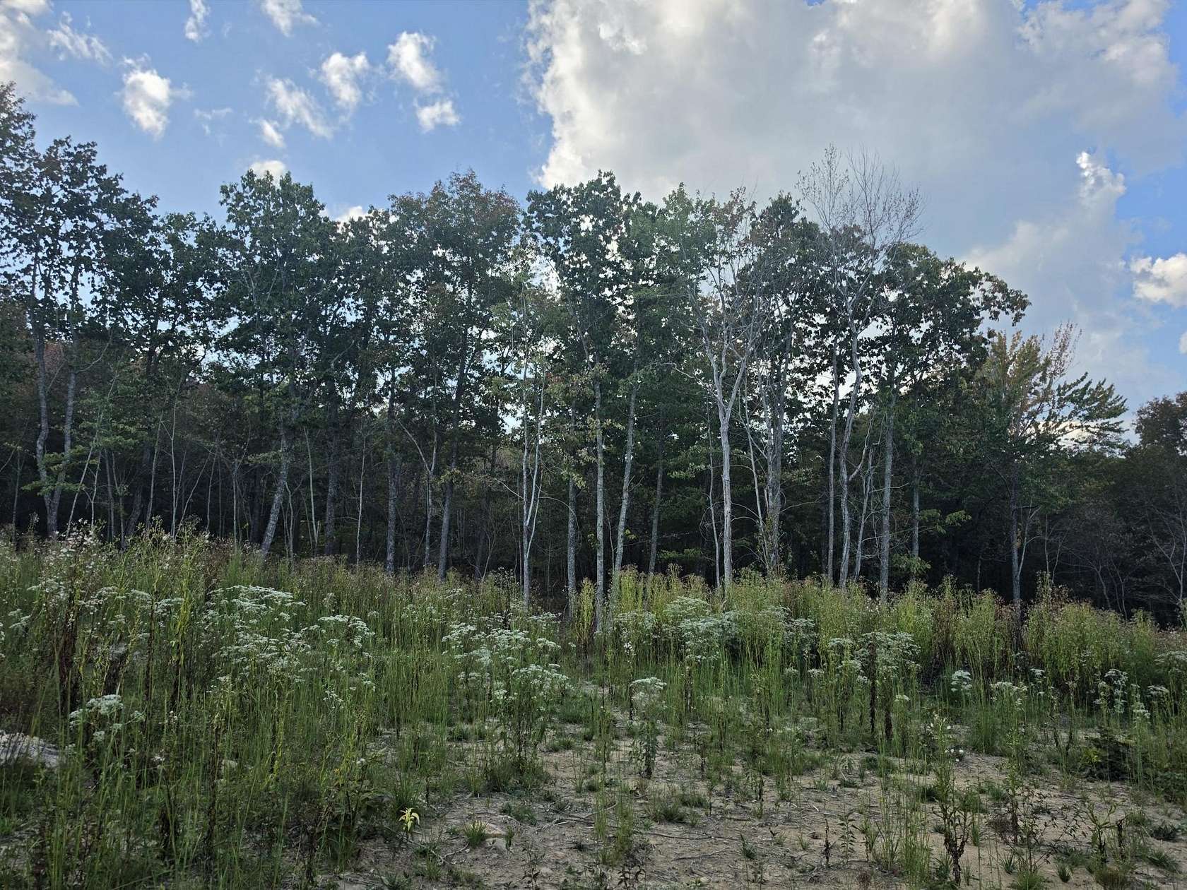 5.67 Acres of Land for Sale in Dunlap, Tennessee