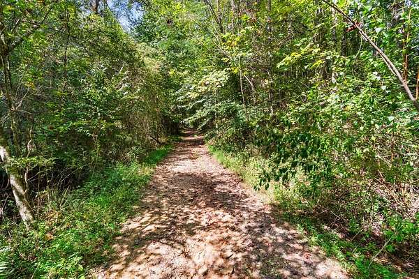38 Acres of Recreational & Residential Land for Sale in Hayesville, North Carolina