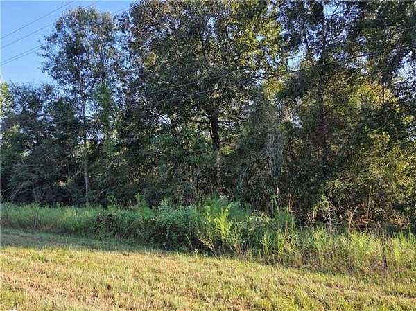 3 Acres of Residential Land for Sale in Kentwood, Louisiana